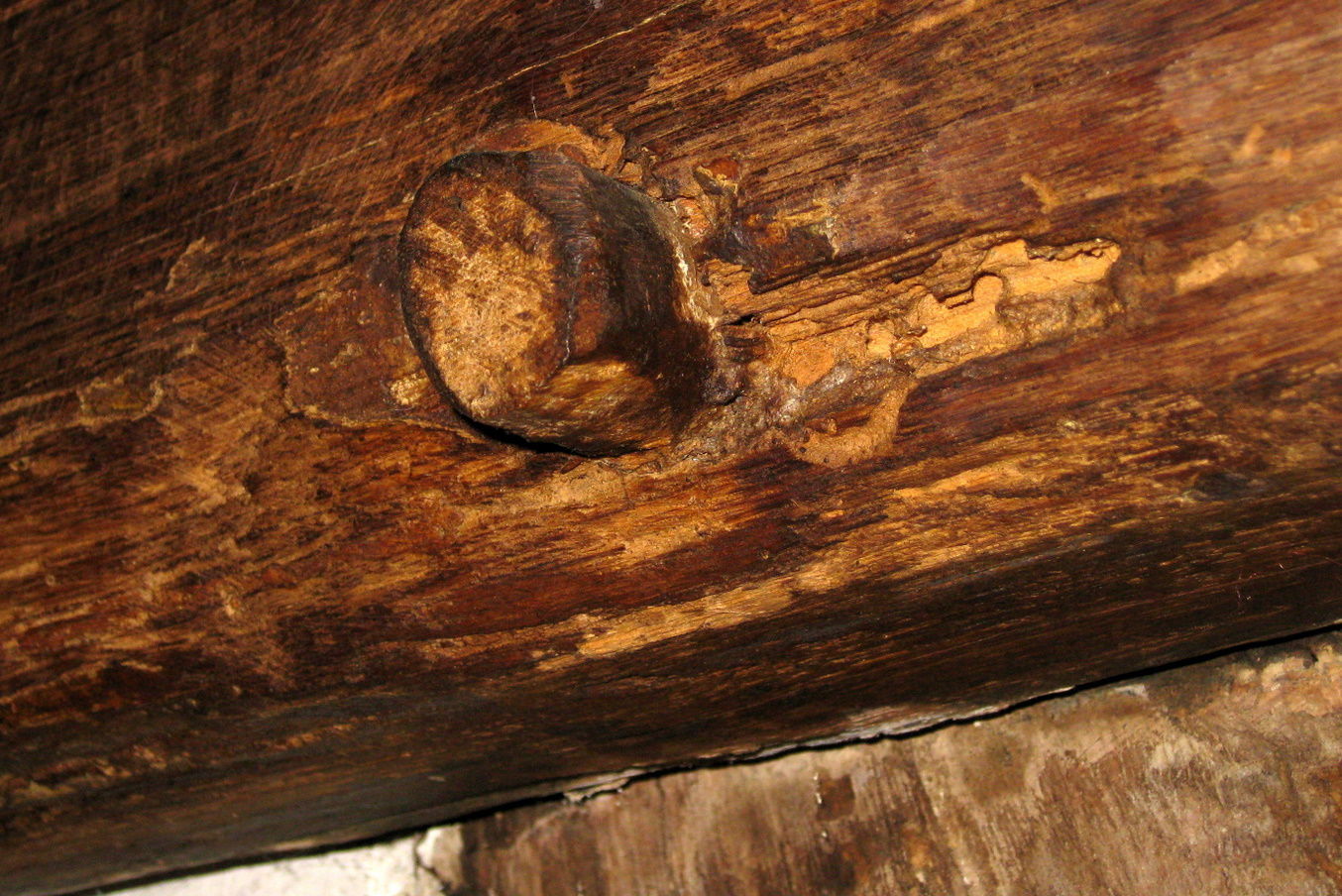 Guildhall de Leicester