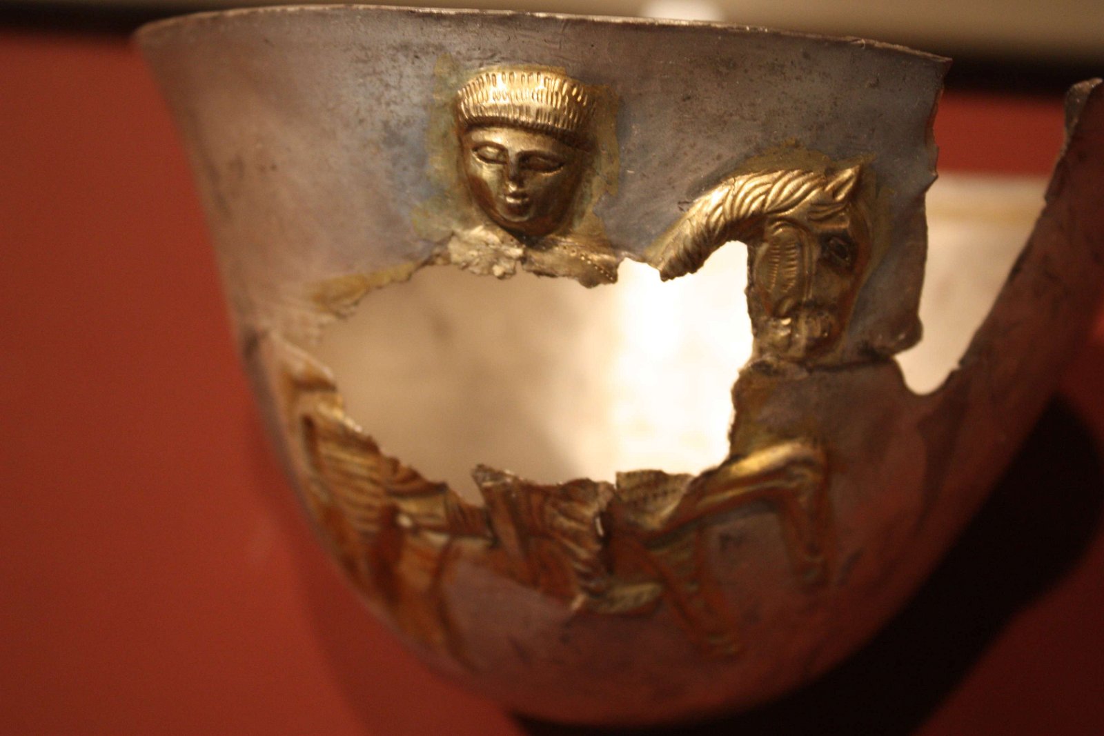 National History Museum