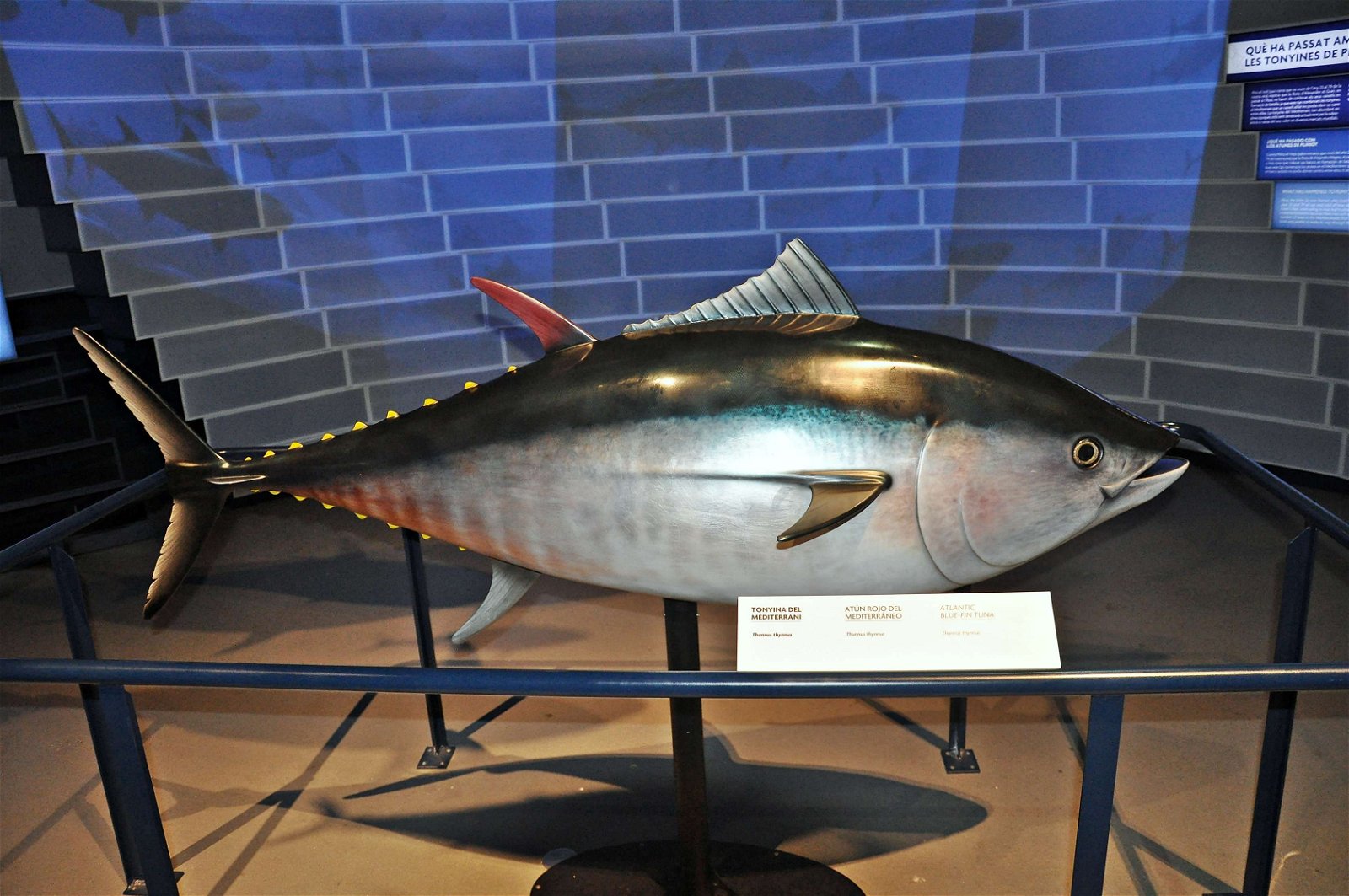 CosmoCaixa Barcelona