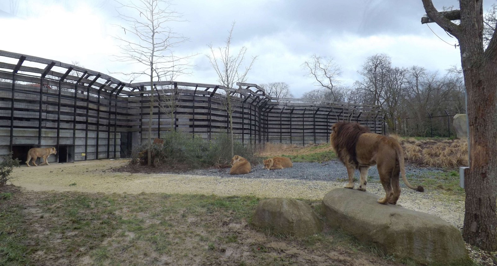 Parc zoologique de Paris