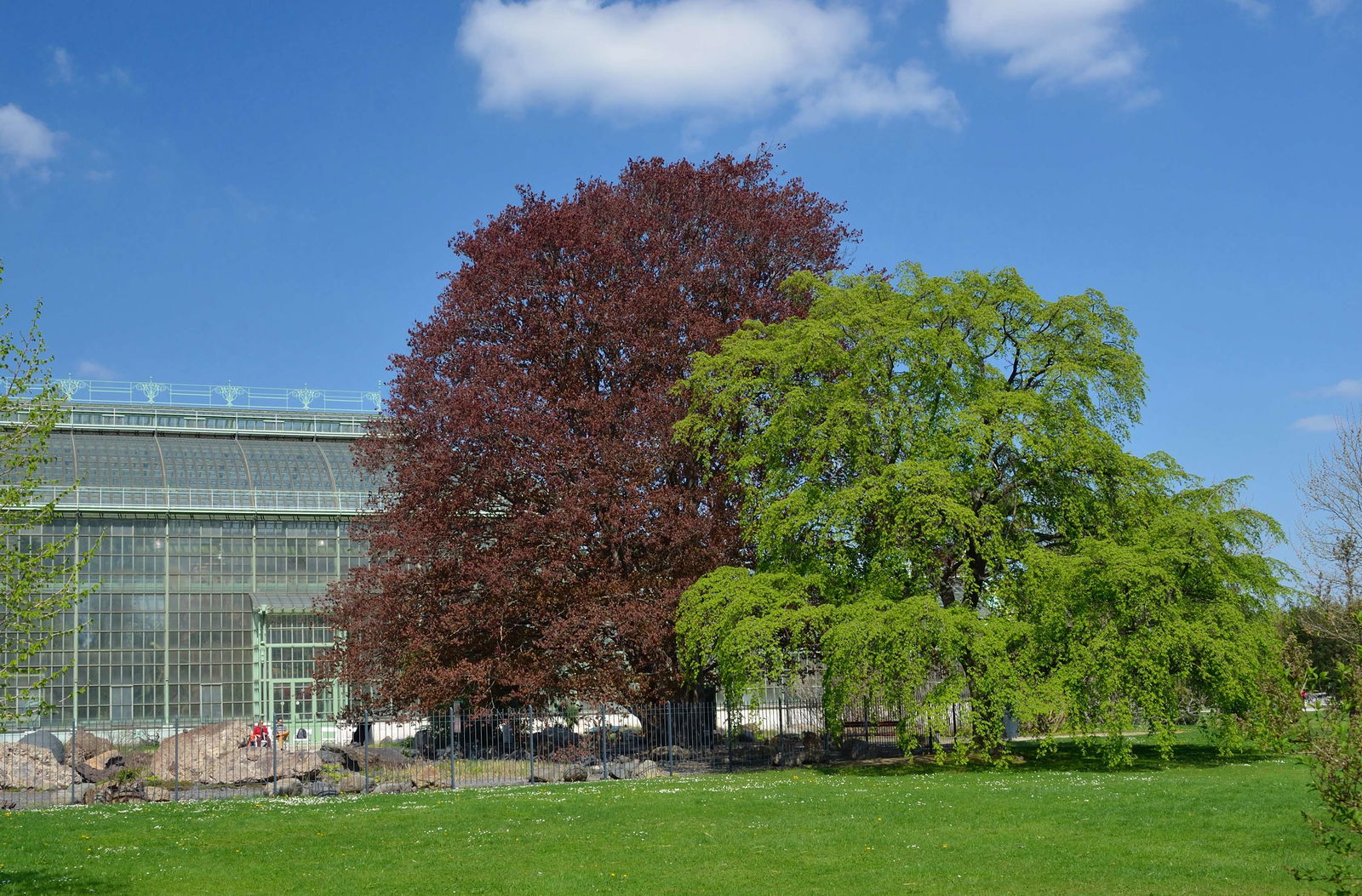 Schönbrunn Desert House