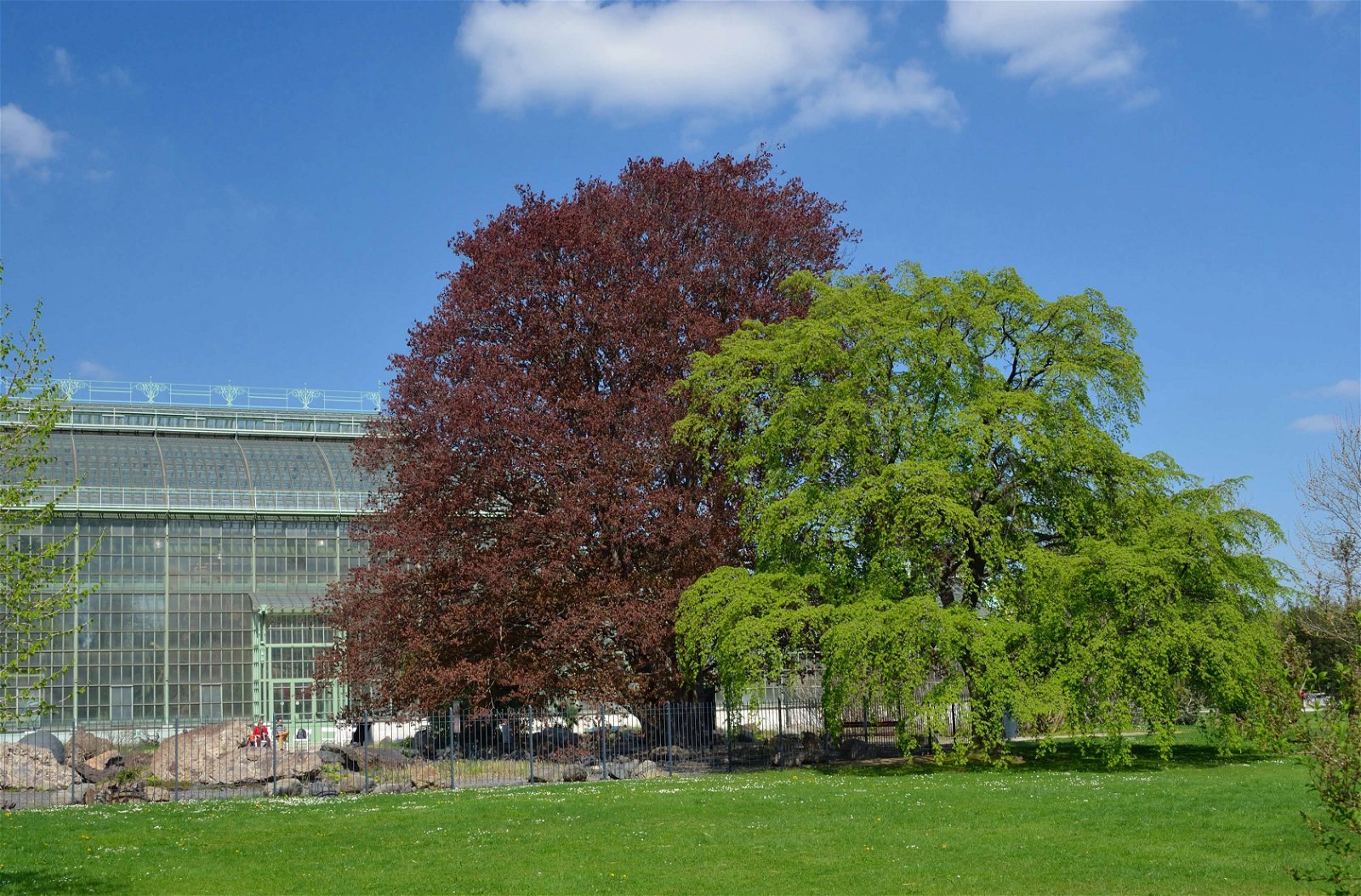 Schönbrunn Desert House