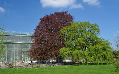 Schönbrunn Desert House