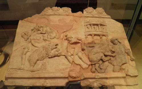 Antiquarium Alda Levi