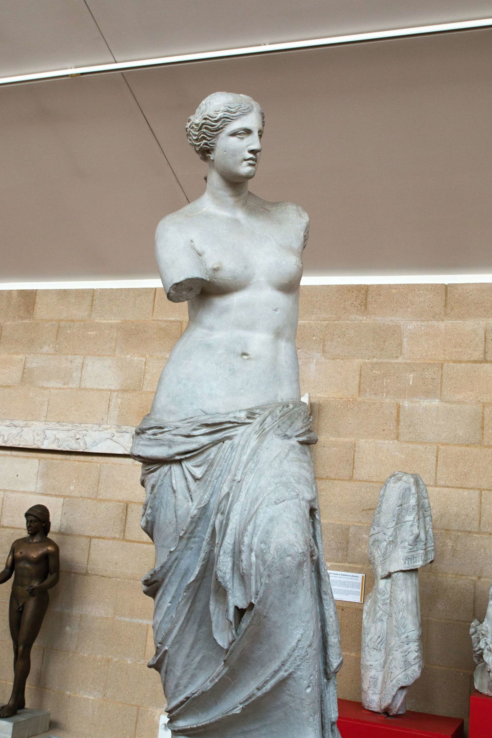 Museum of Classical Archaeology
