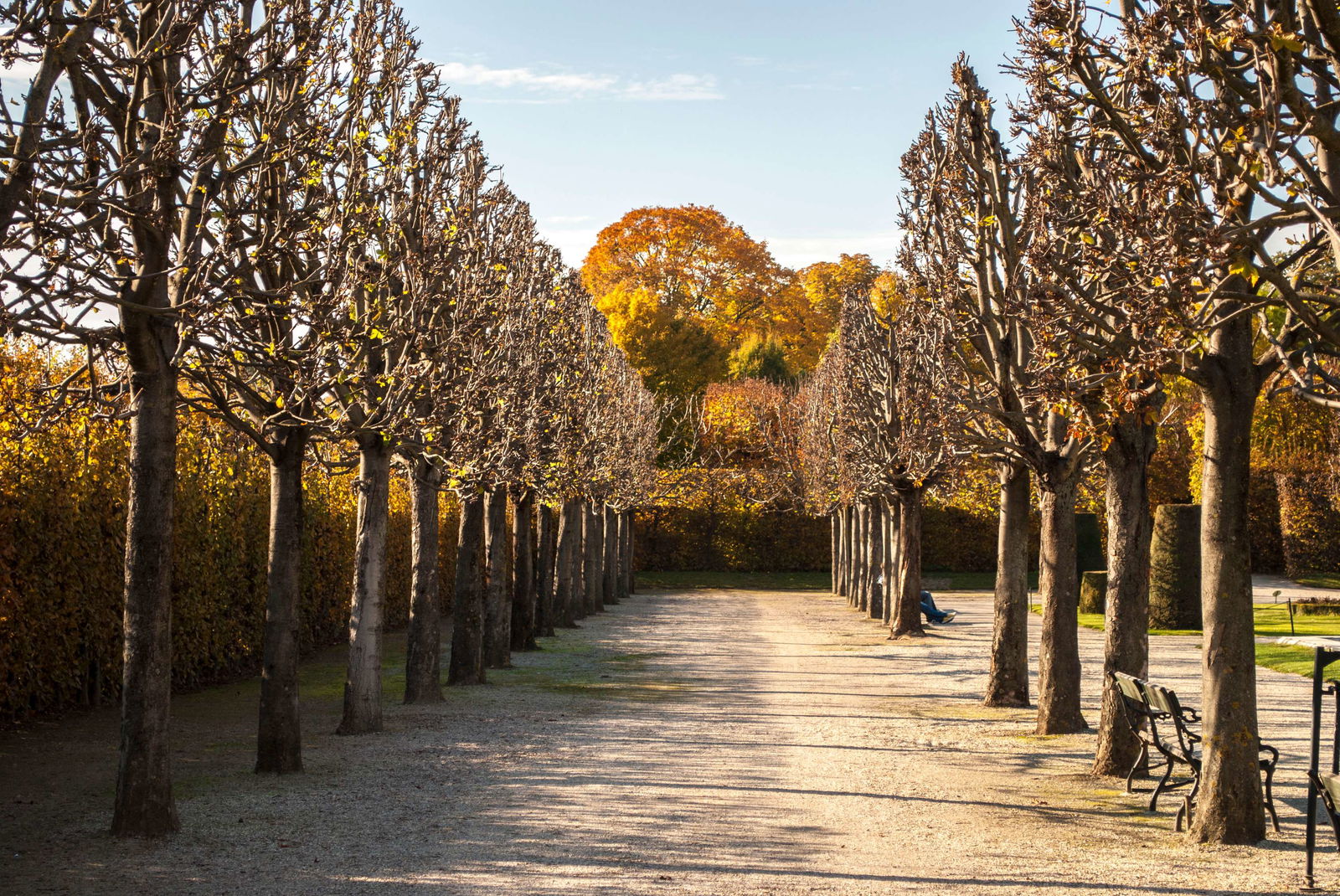 Schonbrunner Gardens